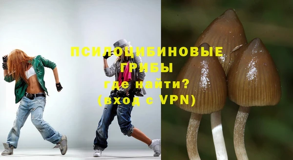 СК Бородино