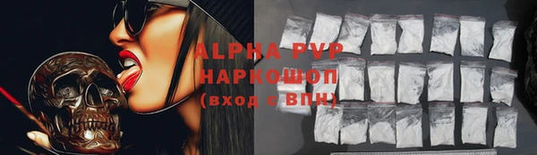 СК Бородино