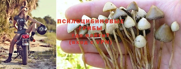 СК Бородино